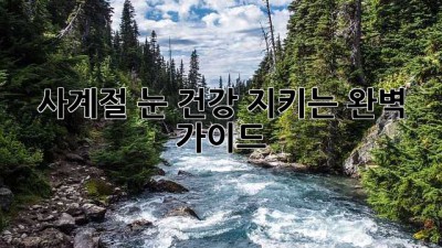 사계절 눈 건강 지키는 완벽 가이드